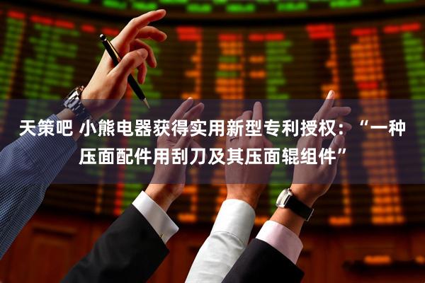 天策吧 小熊电器获得实用新型专利授权：“一种压面配件用刮刀及其压面辊组件”