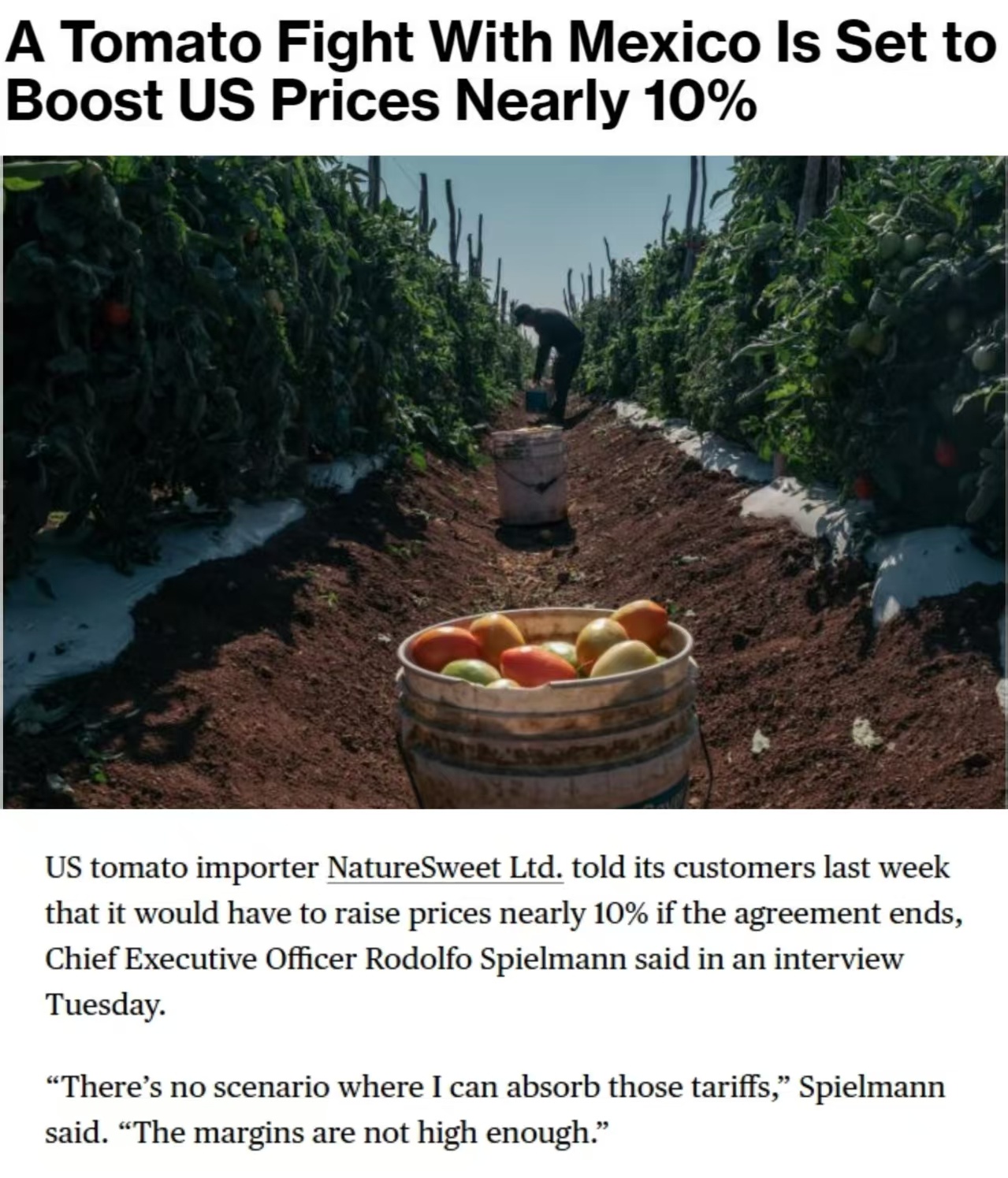 　　彭博社报道截图